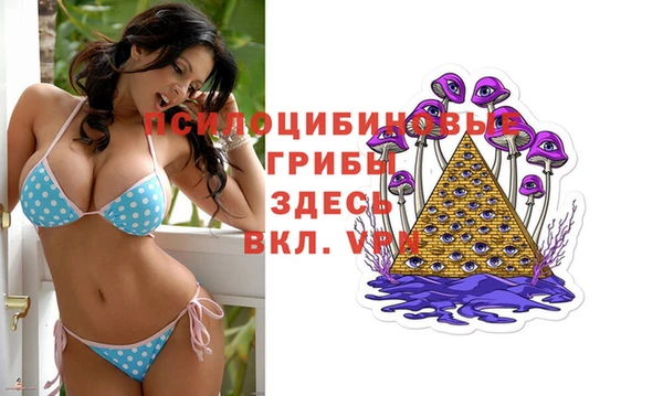 альфа пвп Верхнеуральск